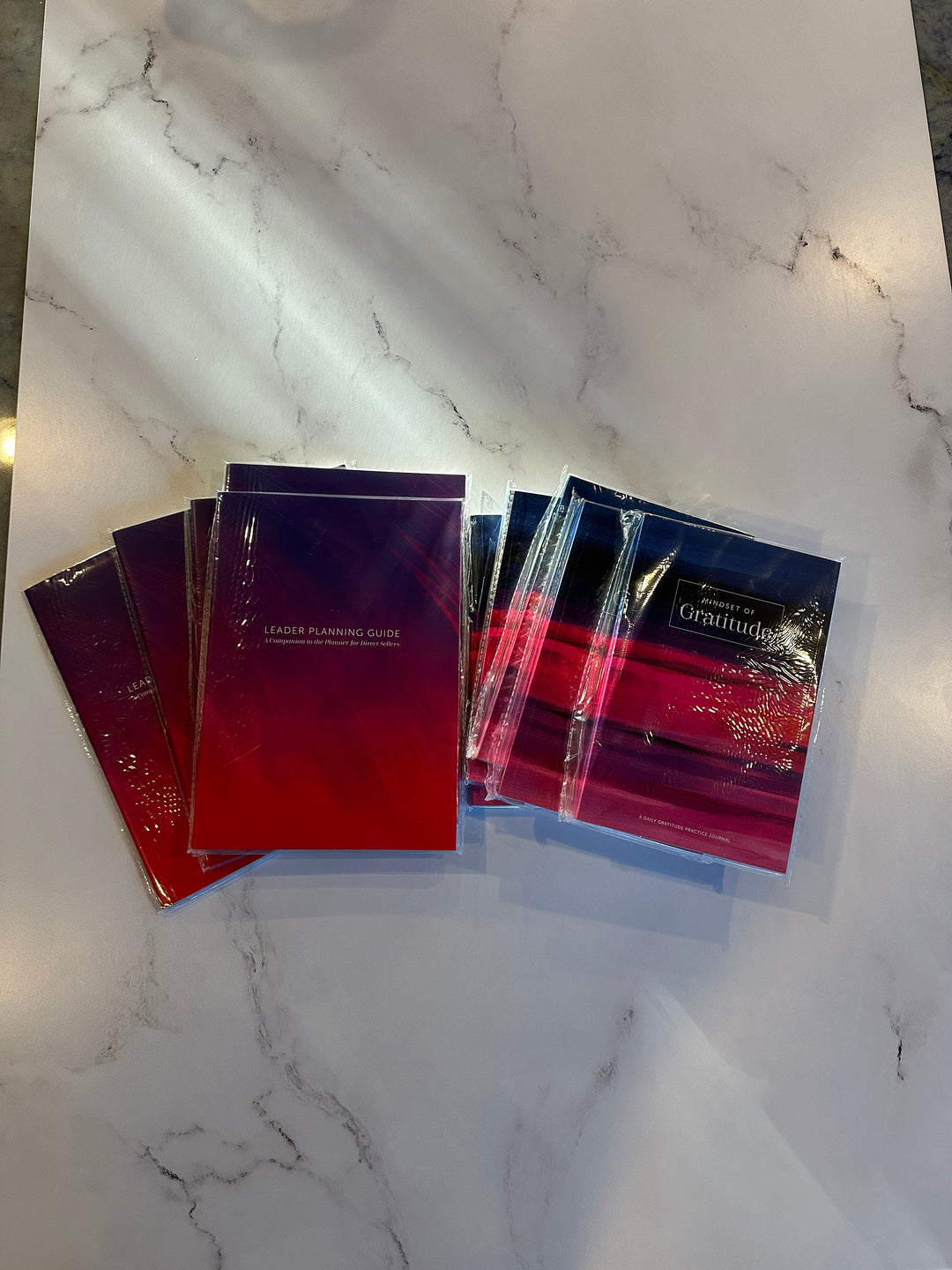 Set of 5 Leader Planning Guides + 5 Gratitude Journals