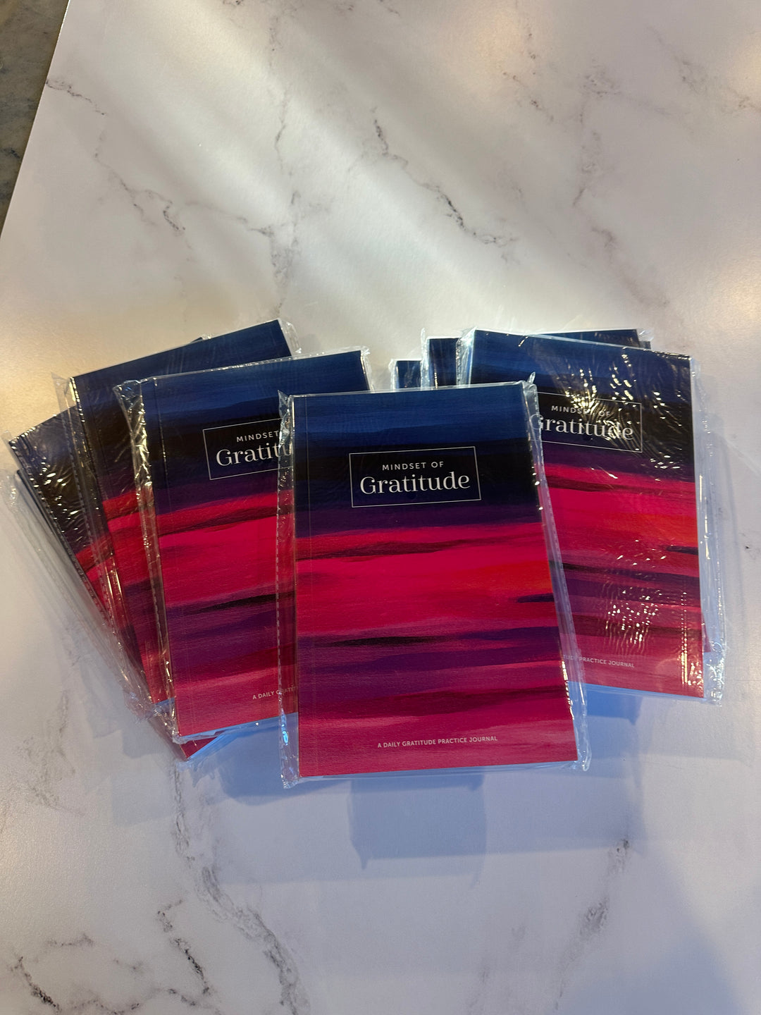 Set of  10 Leader Planning Guide